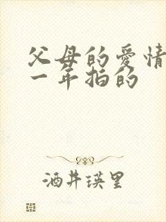 父母的爱情是哪一年拍的