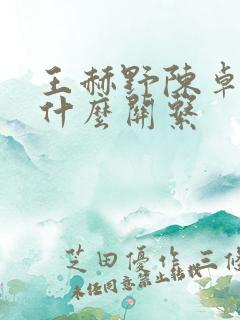 王赫野陈卓璇是什么关系
