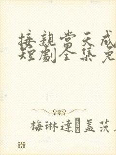 接亲当天成陌路短剧全集免费观看