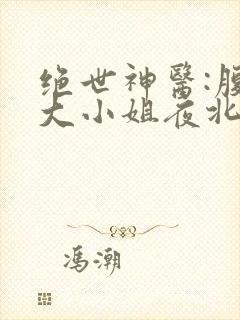 绝世神医:腹黑大小姐夜北