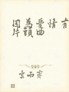 因为爱情有幸福片头曲