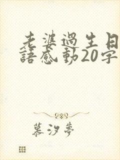 老婆过生日祝福语感动20字内