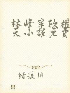 林峰宁欣权势滔天小说免费阅读