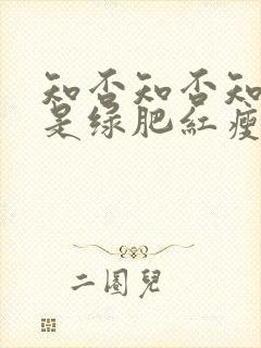 知否知否知否应是绿肥红瘦原著叫什么