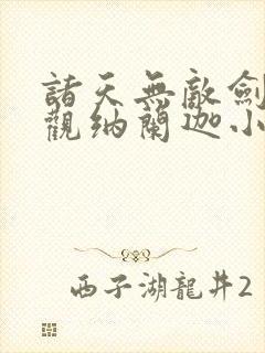 诸天无敌剑修叶观纳兰迦小说