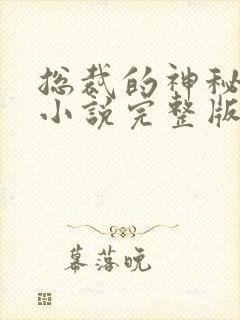 总裁的神秘甜妻小说完整版本
