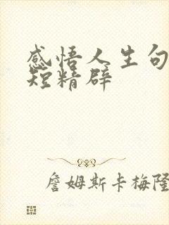 感悟人生句子简短精辟