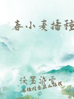 春小麦播种时间