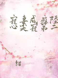 宠妻成瘾陆少的心尖宠第二季