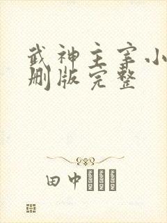 武神主宰小说未删版完整
