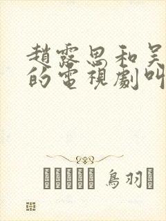 赵露思和吴磊演的电视剧叫什么