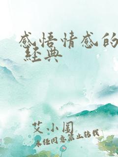 感悟情感的句子 经典