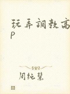 玩弄调教高hnp