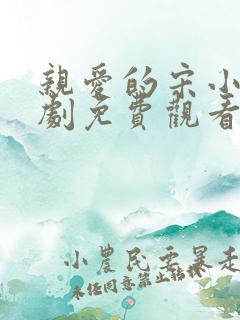 亲爱的宋小姐短剧免费观看全集
