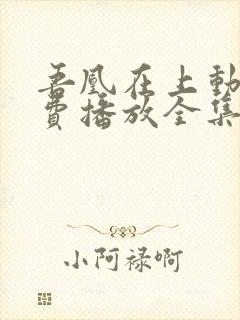 吾凰在上动漫免费播放全集