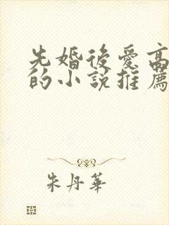 先婚后爱高干文的小说推荐