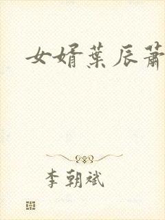女婿叶辰萧初然