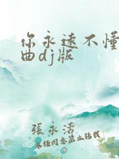 你永远不懂我歌曲dj版