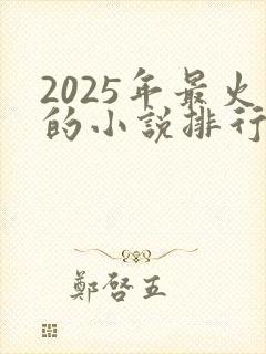 2025年最火的小说排行榜