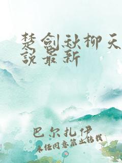 楚剑秋柳天瑶小说最新