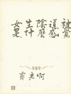 女生阴道被插入是什么感觉