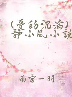 (爱的沉沦)宁静小风小说