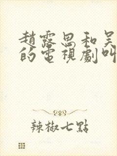 赵露思和吴磊演的电视剧叫什么