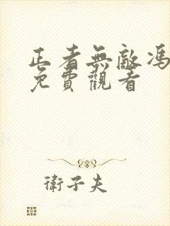 正者无敌冯天魁免费观看