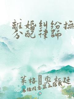 离婚纠纷抚养权分配律师