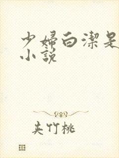 少妇白洁是哪本小说