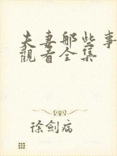 夫妻那些事免费观看全集