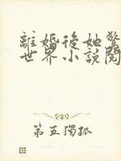 离婚后她惊艳了世界小说阅读
