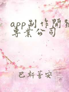 app制作开发专业公司