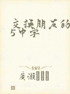 交换朋友的老婆5中字