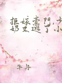 拒嫁豪门,少奶奶又逃了小说免费下载