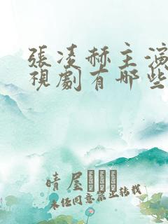 张凌赫主演的电视剧有哪些