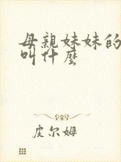 母亲妹妹的丈夫叫什么