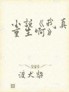 小说《我真没想重生啊》