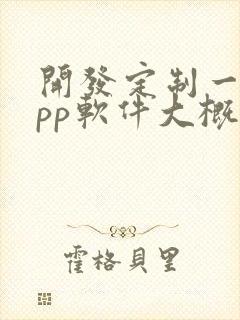 开发定制一个app软件大概多少钱
