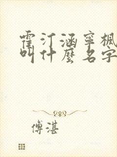 霍汀涵宁枫小说叫什么名字