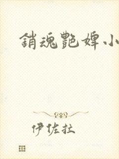 销魂艳婢小说