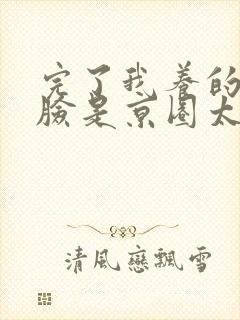 完了我养的小白脸是京圈太子爷短剧