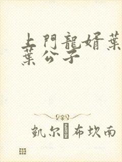 上门龙婿叶辰 叶公子