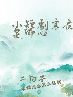 小短剧寒夜尽处是卿心