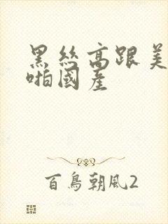 黑丝高跟美女啪啪国产
