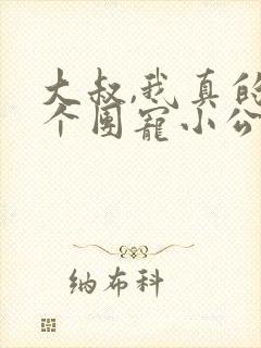 大叔,我真的是个团宠小公主免费阅读