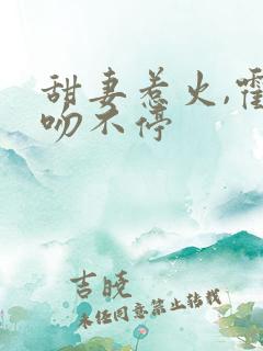 甜妻惹火,霍少吻不停