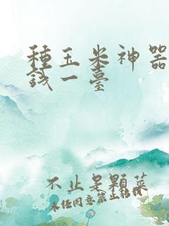 种玉米神器多少钱一台