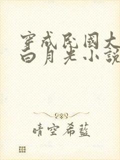 穿成民国大佬的白月光小说