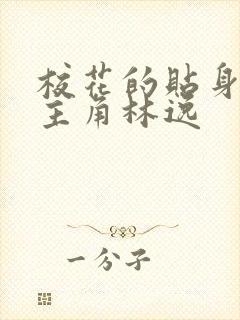 校花的贴身高手主角林逸